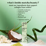 Matcha Plant-Based Collagen Boost Latte Stick Packs